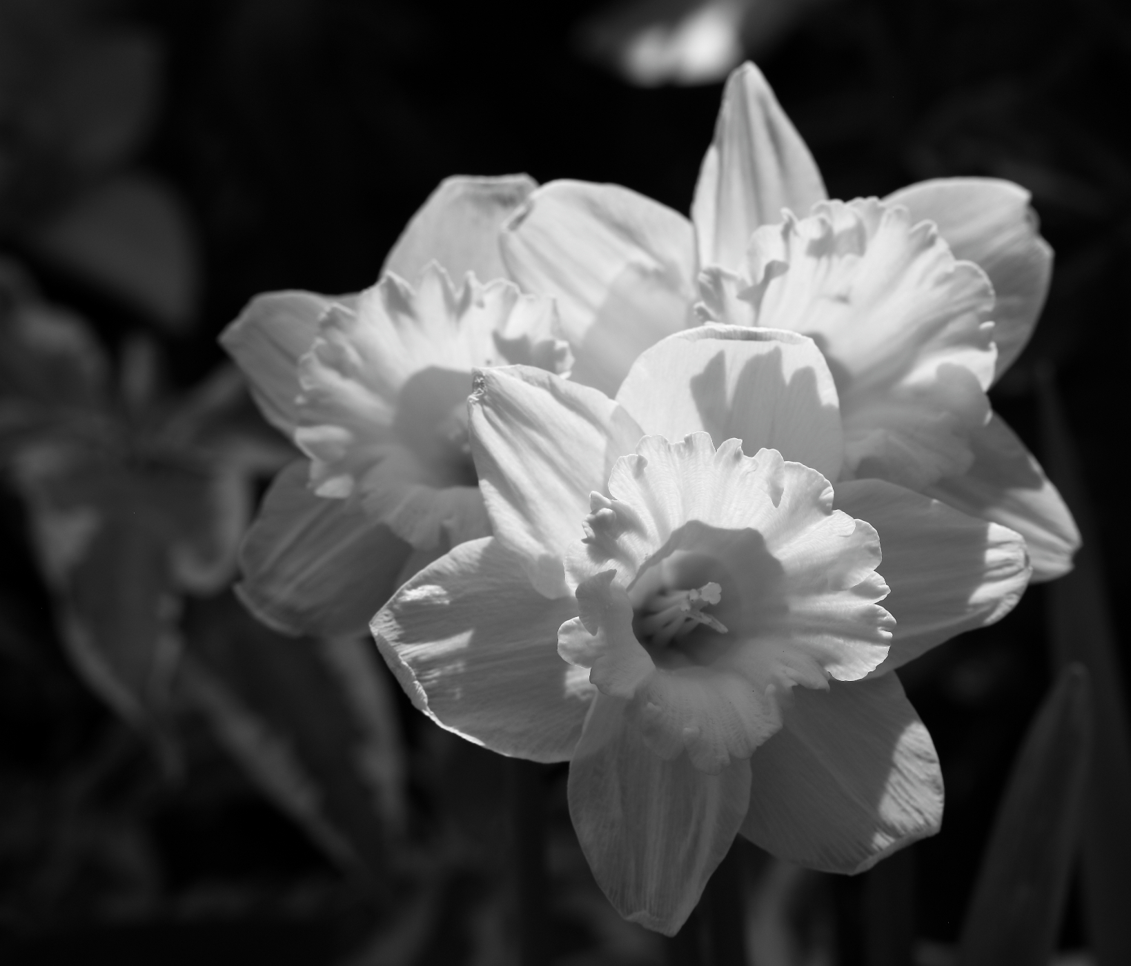 2019 04 07 HTP 90349ebw